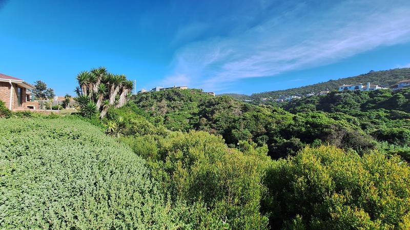 0 Bedroom Property for Sale in Outeniqua Strand Western Cape